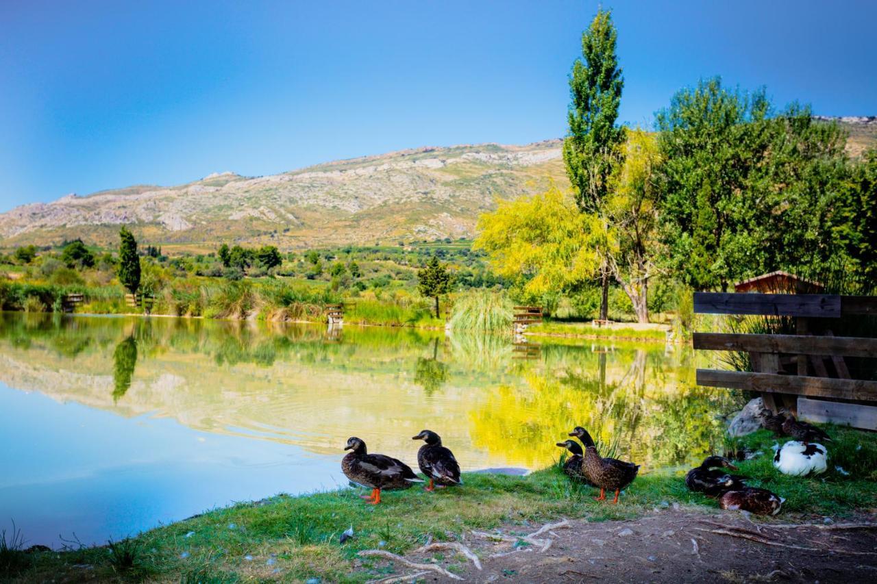 Camping La Peiriere Tuchan المظهر الخارجي الصورة