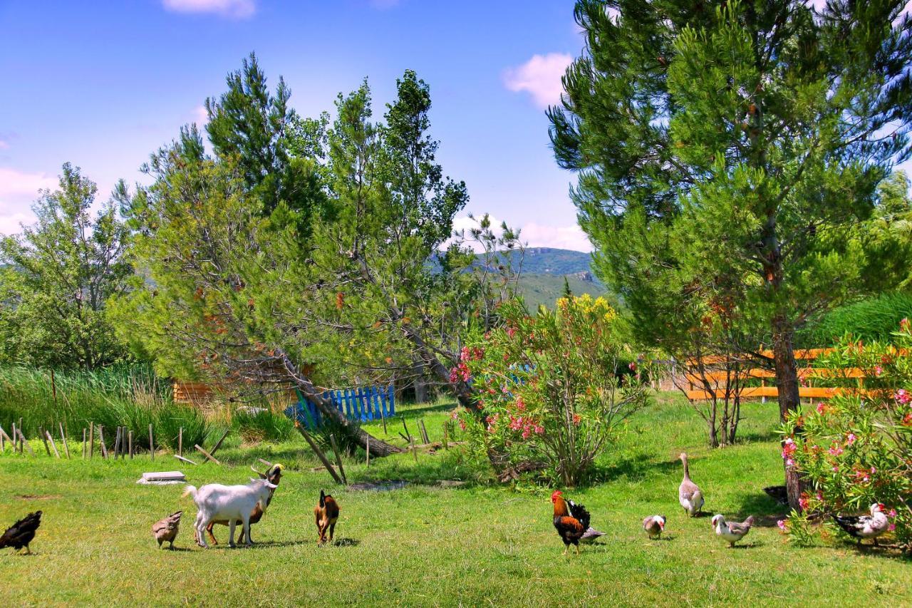 Camping La Peiriere Tuchan المظهر الخارجي الصورة